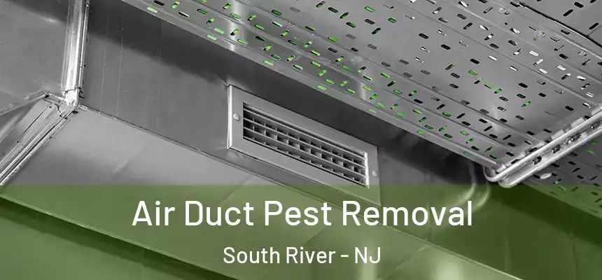 Air Duct Pest Removal South River - NJ
