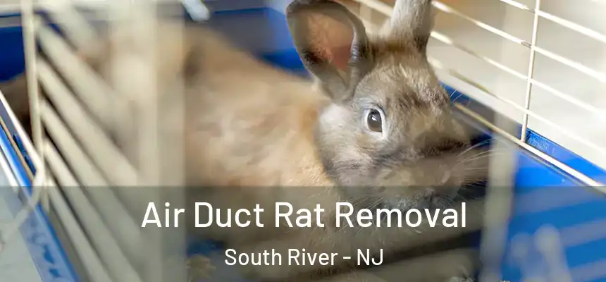  Air Duct Rat Removal South River - NJ