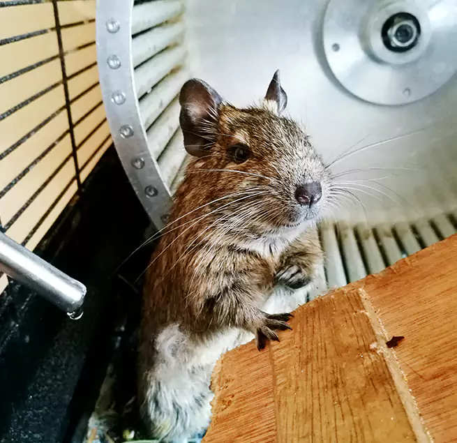 Why Homeowners & Businesses Trust Us South River, NJ